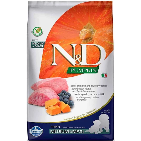 ND Bal Kabaklı Kuzulu ve Yaban Mersinli Orta ve Büyük Irk Tahılsız Yavru Köpek Maması 2,5kg ürün görseli