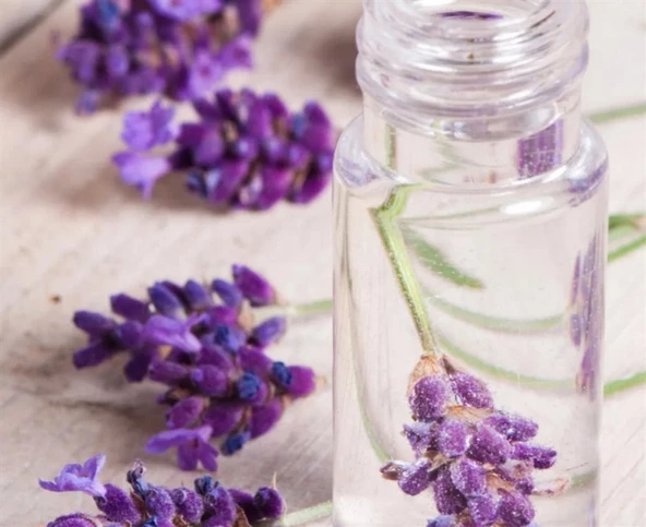 Yoğun Kokulu Doğal Lavanta Suyu 10 Kğ Lavender Water