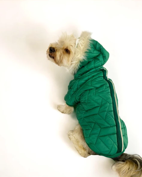Luxy Green Köpek Montu, Köpek Ceketi, Köpek Dış Giyim - 8