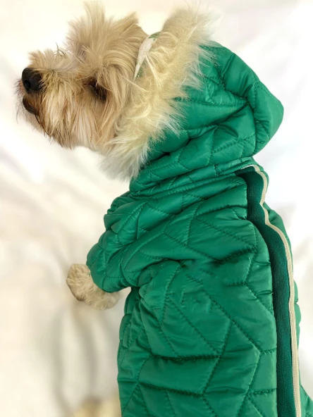 Luxy Green Köpek Montu, Köpek Ceketi, Köpek Dış Giyim - 9