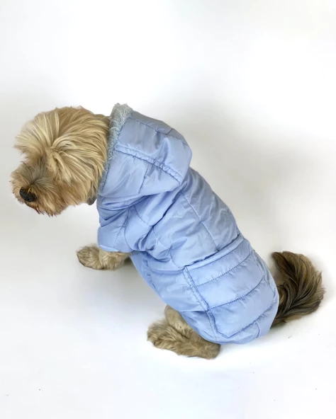 Baby Blue Comfy Köpek Montu, Köpek Ceketi, Köpek Dış Giyim - 11