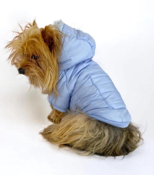 Baby Blue Comfy Köpek Montu, Köpek Ceketi, Köpek Dış Giyim - 4