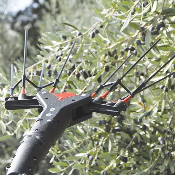 Castellari Vertigo 30V Akülü ve Taraklı Zeytin Hasat Makinası - 3