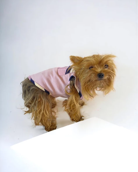 Light Purple BB Atlet Köpek Kıyafeti  Köpek Elbisesi - 7