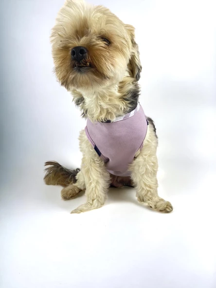 Light Purple BB Atlet Köpek Kıyafeti  Köpek Elbisesi - 4