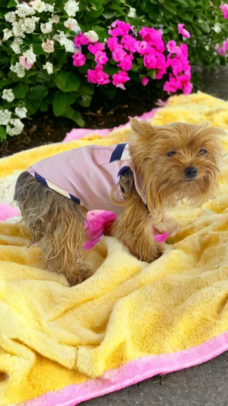 Light Purple BB Atlet Köpek Kıyafeti  Köpek Elbisesi - 8