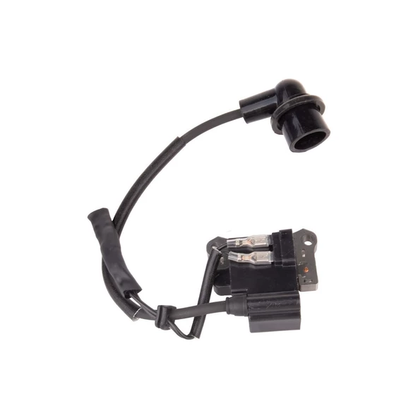 Palmera CG550125 Elektronik Bobin CG520,BG520 E5