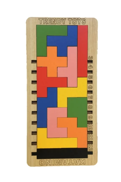 Eğitici Ahşap Blok Tetris Zeka Oyunu