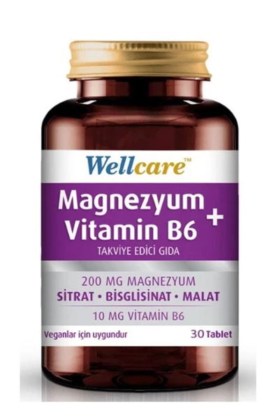 Wellcare Magnezyum Vitamin B6 30 Tablet