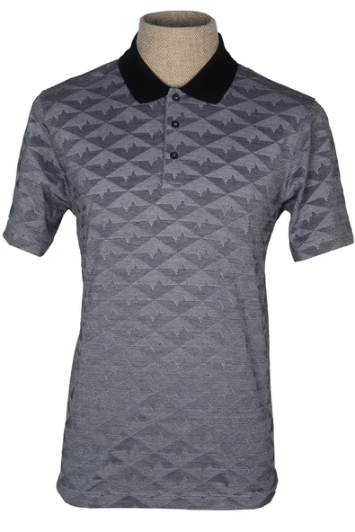 Cengiz İnler Polo Yaka Erkek T-shirt - 4
