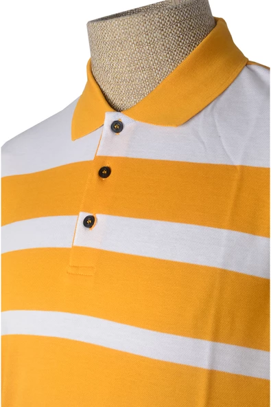 Cengiz İnler Polo Yaka Erkek T-shirt - 10