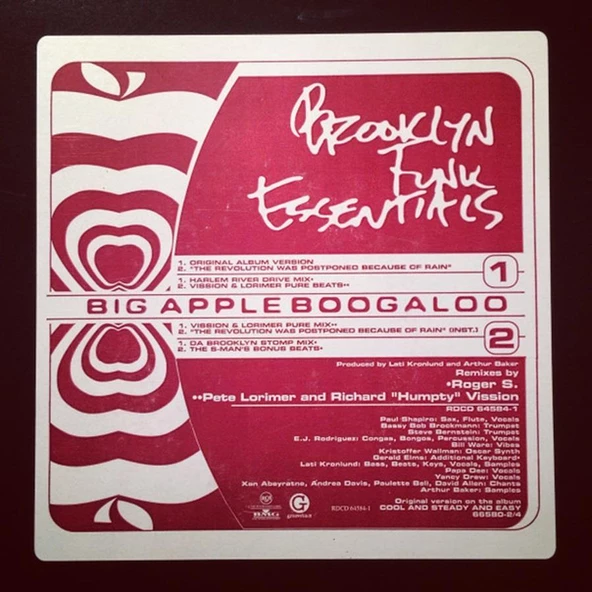 Brooklyn Funk Essentials – Big Apple Boogaloo / The Revolution Was Postponed Because Of Rain House Jazz Vinly Plak alithestereo