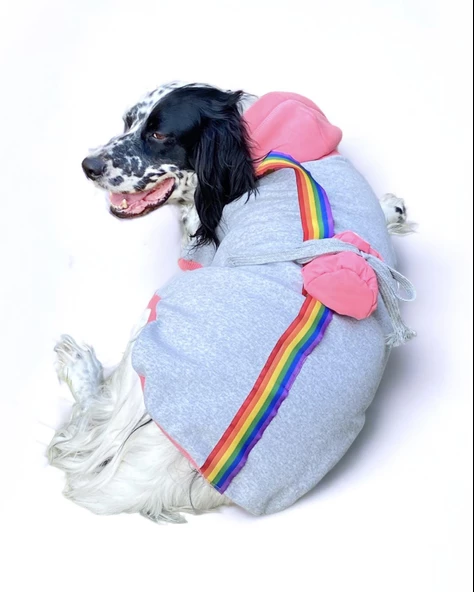 Pocket Rainbow Sweatshirt Orta ve Büyük Irklar İçin - 2