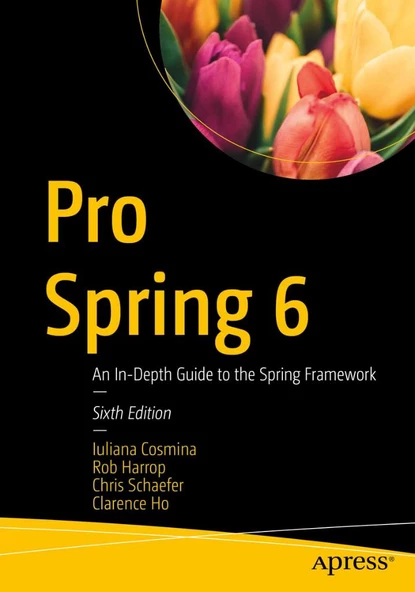Pro Spring 6: An In-Depth Guide to the Spring Framework 6th ed. Cosmina Harrop ürün görseli 1