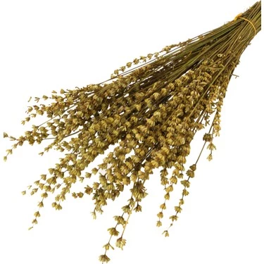 Şoklanmış Gerçek Lavanta Demeti Kahverengi Hardal ürün görseli