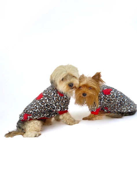 Animal Leo Print Sweat Red Sweat Köpek Kazağı Köpek Poları - 10