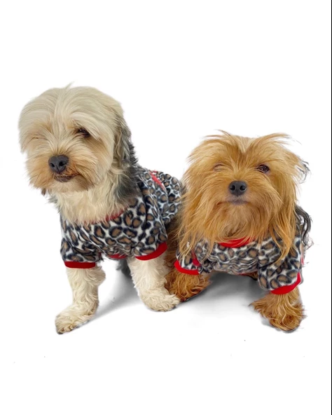 Animal Leo Print Sweat Red Sweat Köpek Kazağı Köpek Poları - 9