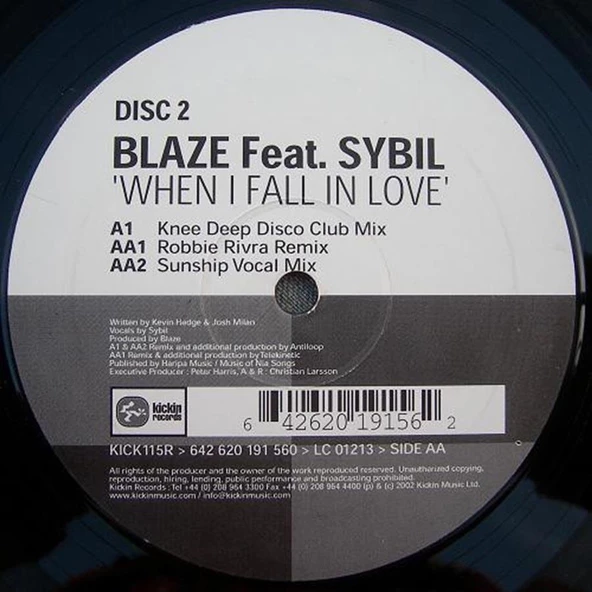 Blaze Feat. Sybil – When I Fall In Love (Disc 2) House Vinly Plak alithestereo