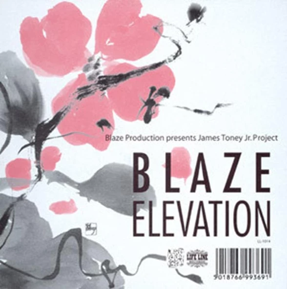 Blaze Production* Presents James Toney Jr. Project – Elevation Deep House Vinly Plak alithestereo