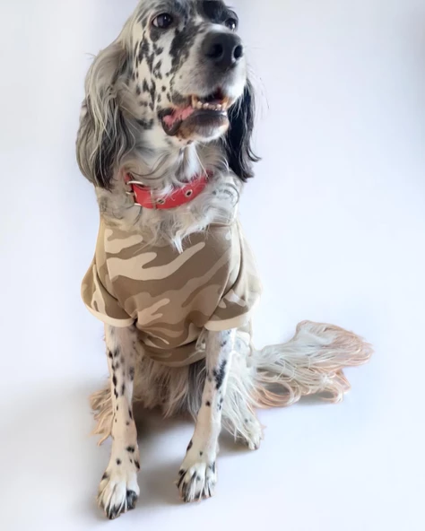 Soft Kamuflaj Sweatshirt Orta ve Büyük Irklar İçin - 7