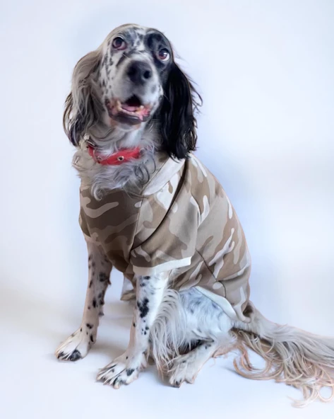 Soft Kamuflaj Sweatshirt Orta ve Büyük Irklar İçin - 3