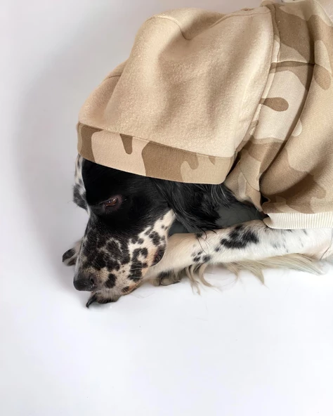 Soft Kamuflaj Sweatshirt Orta ve Büyük Irklar İçin - 8