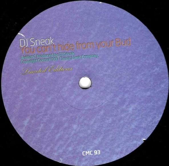 DJ Sneak – You Can't Hide From Your Bud House Vinly Plak alithestereo