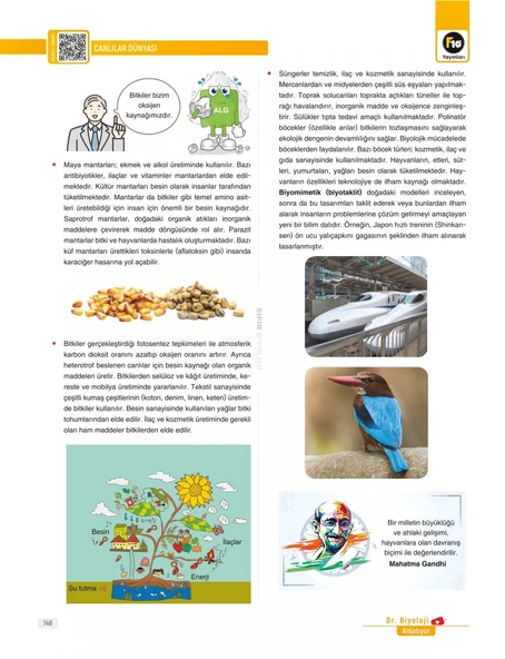 Dr. Biyoloji Barış Hoca Zero Serisi Biyoloji Video Ders Kitabı F10 Yayınları - 7