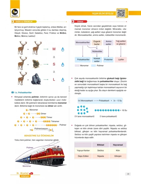 Dr. Biyoloji Barış Hoca Zero Serisi Biyoloji Video Ders Kitabı F10 Yayınları - 3