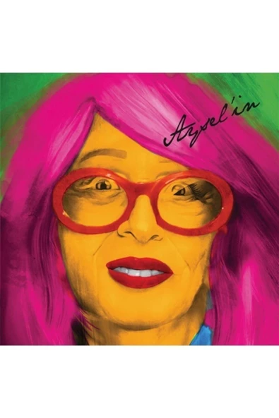 Aysel'in - Çeşitli Sanatçılar 2 xLP Vinly Plak Birden alithestereo