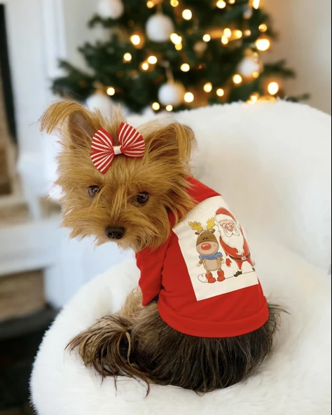 Santa and Friend Rudolph  Köpek Tişörtü Yılbaşı Noel Christmas Köpek Elbisesi