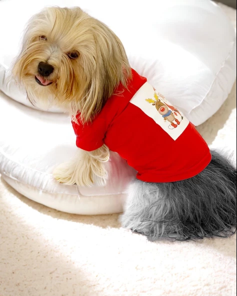 Santa and Friend Rudolph  Köpek Tişörtü Yılbaşı Noel Christmas Köpek Elbisesi - 5