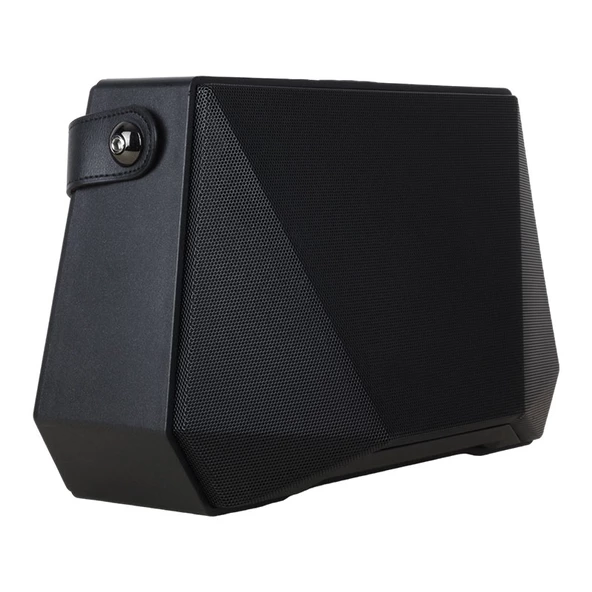 Shile SL-3A İki El Mikrofonlu Kumandalı USB/SD/BT Portatif Hoparlör - 2