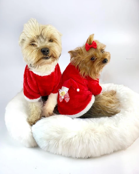 Kitty Santa Köpek Kazağı, Noel , Yılbaşı Elbisesi Kıyafeti - 3