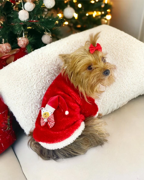 Kitty Santa Köpek Kazağı, Noel , Yılbaşı Elbisesi Kıyafeti