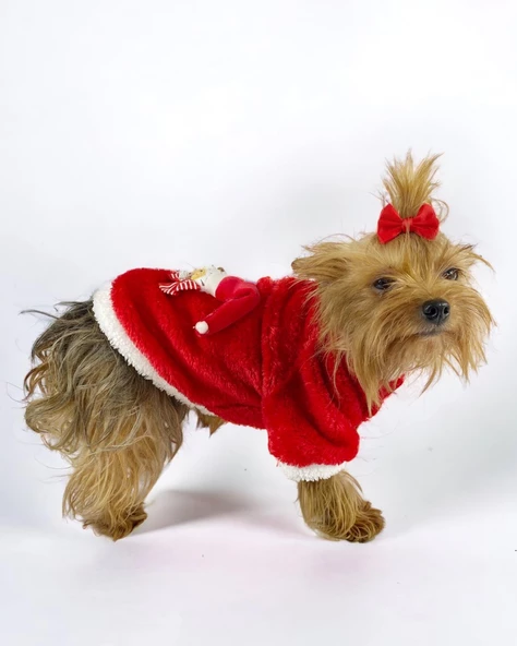 Kitty Santa Köpek Kazağı, Noel , Yılbaşı Elbisesi Kıyafeti - 5