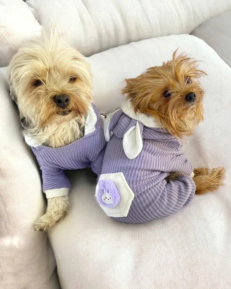 Bunny Boo Kulaklı Köpek Tulumu Kıyafeti - 6