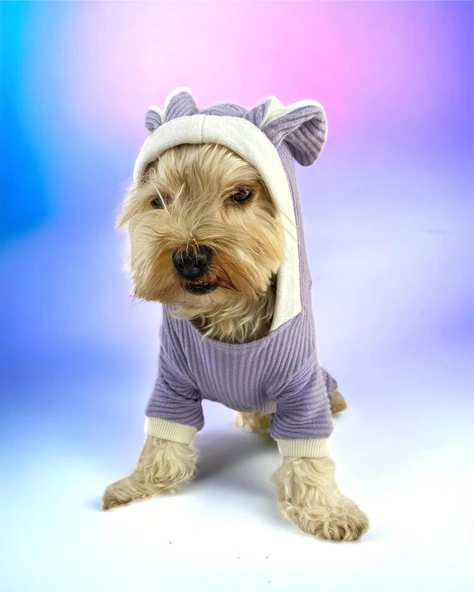 Bunny Boo Kulaklı Köpek Tulumu Kıyafeti - 3