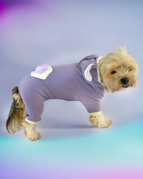 Bunny Boo Kulaklı Köpek Tulumu Kıyafeti - 4