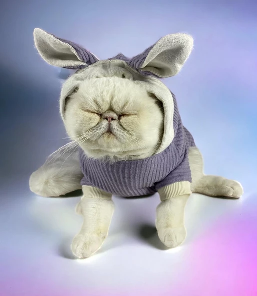 Bunny Boo Kulaklı Kedi Tulumu Kedi Kıyafeti - 2