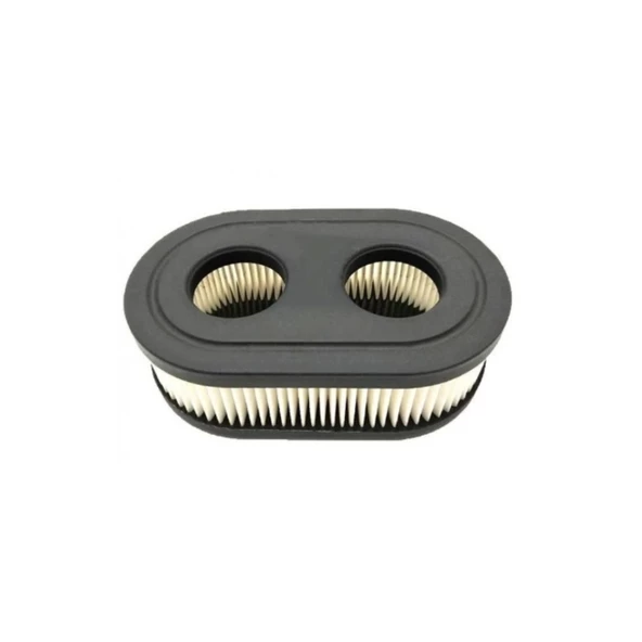 Hava Filitresi Brigs 450-500-450E-575E İki Delikli - 2