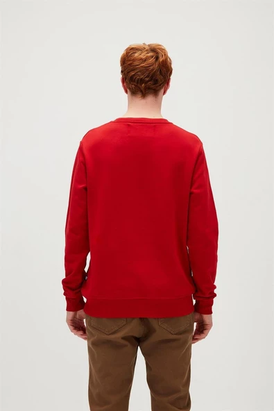 BAD BEAR ERKEK PRESAGE CREWNECK 20.02.12.012 - 11