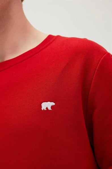 BAD BEAR ERKEK PRESAGE CREWNECK 20.02.12.012 - 12