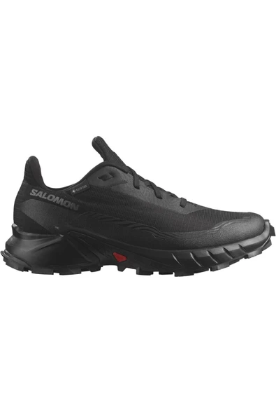 SALOMON KADIN PATİKA KOŞUSU AYAKKABISI ALPHACROSS 5 GTX W L47310900