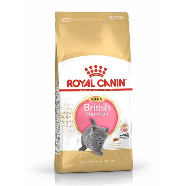 Royal Canin Kitten British Shorthair Yavru Irk Kedi Maması 2 Kg