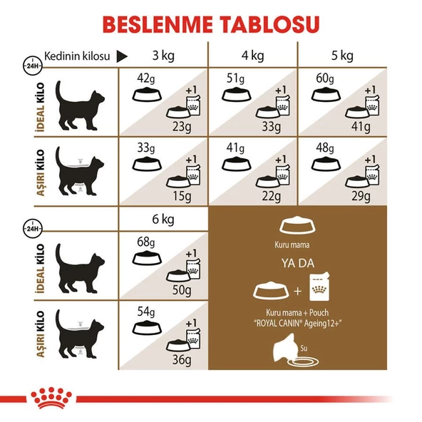 Royal Canin Ageing +12 Yaşlı Kedi Maması 2 Kg - 5