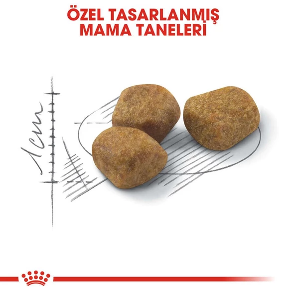 Royal Canin Indoor +7 Ev Kedileri için Yaşlı Kedi Maması 1,5 Kg - Resim 5
