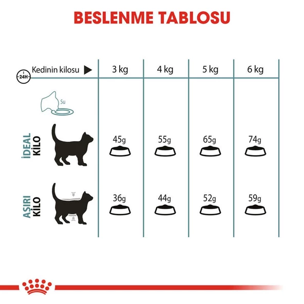 Royal Canin Hairball Tüy Yumağı Kontrolü İçin Kedi Maması 2 Kg - 5