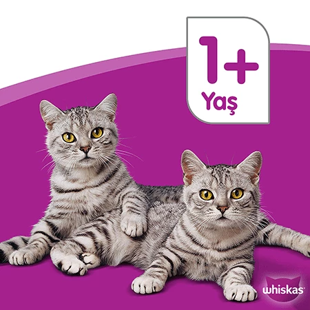 Whiskas Tavuklu Yetişkin Kedi Maması 1,4kg - 3