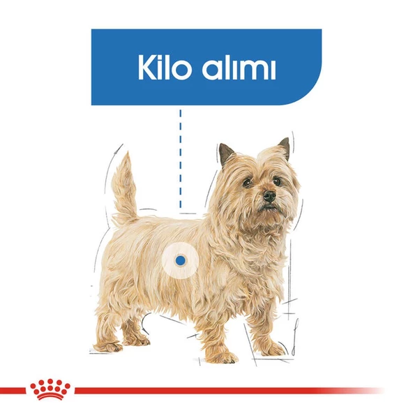 Royal Canin Mini Light Küçük Irk Diyet Köpek Maması 3 Kg - Resim 3